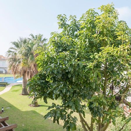 Residencial Marineu Palm Beach II Alcossebre Екстериор снимка